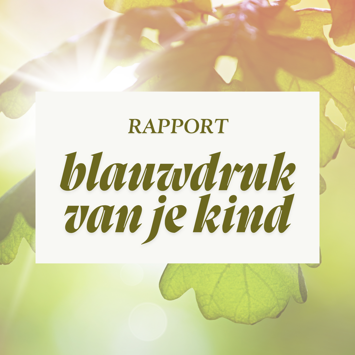 Solo Rapport kind