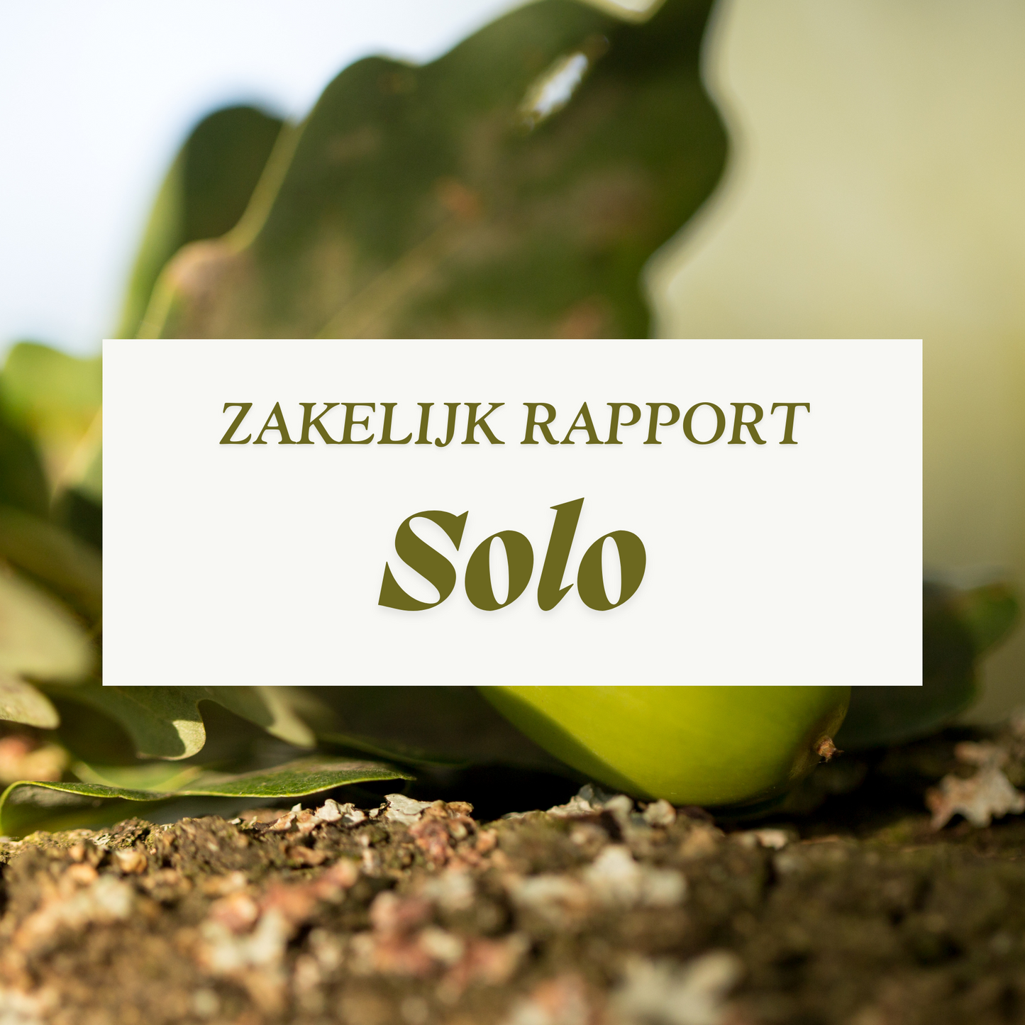 Rapport Solo Zakelijk