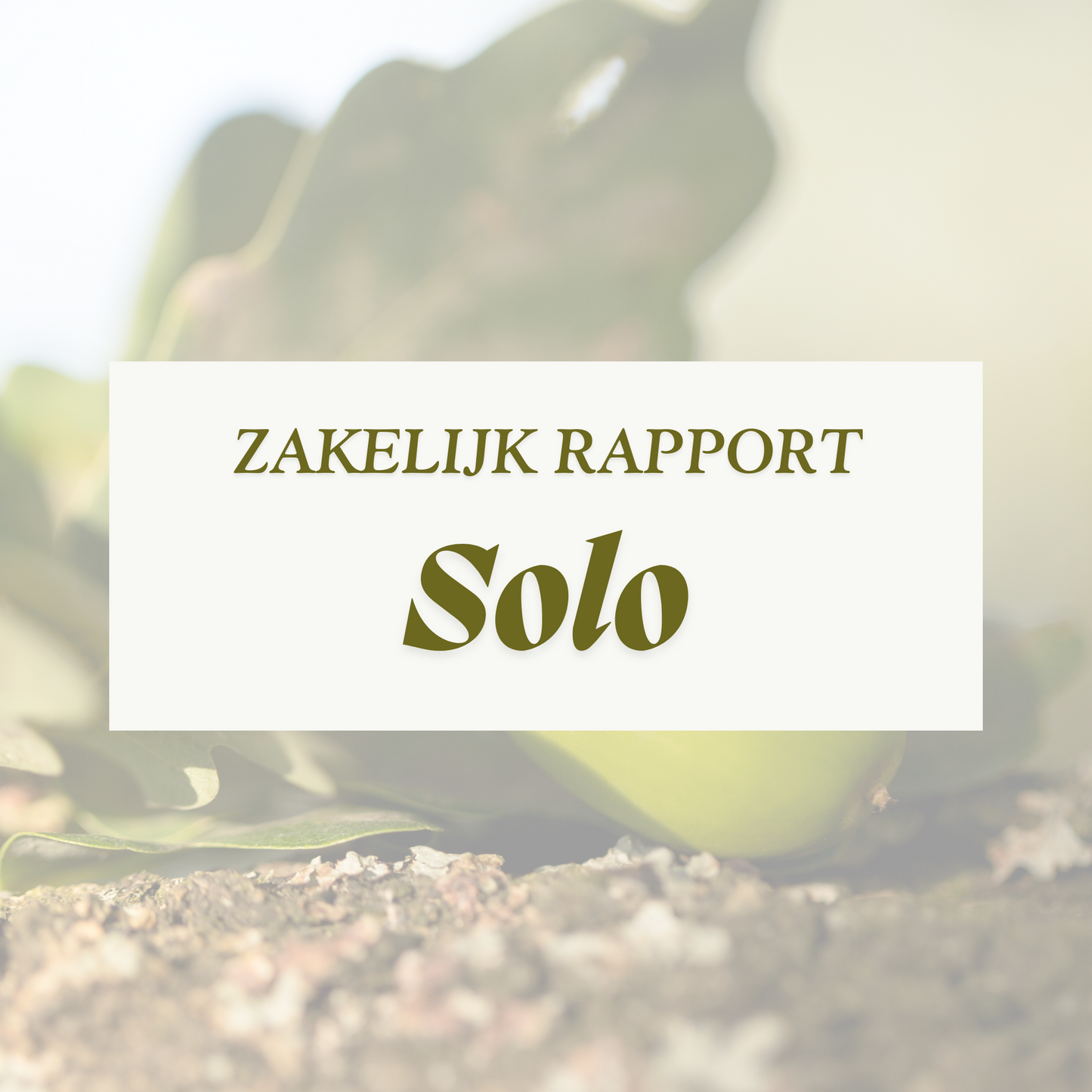 Analyse Solo Zakelijk