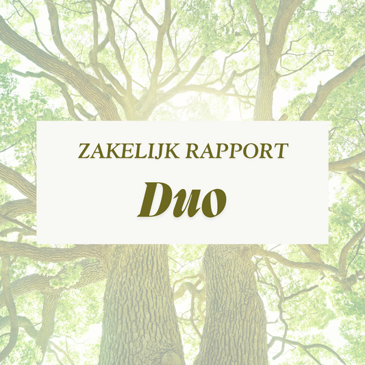 Partnership Analyse Zakelijk